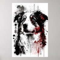 Australian Shepherd Portrait
