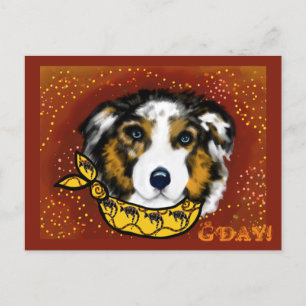 AUSTRALIAN SHEPHERD POSTCARD