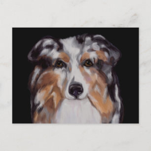 AUSTRALIAN SHEPHERD     POSTCARD