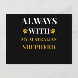 Australian Shepherd Postcard