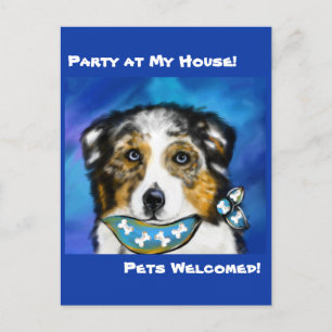 AUSTRALIAN SHEPHERD    POSTCARD