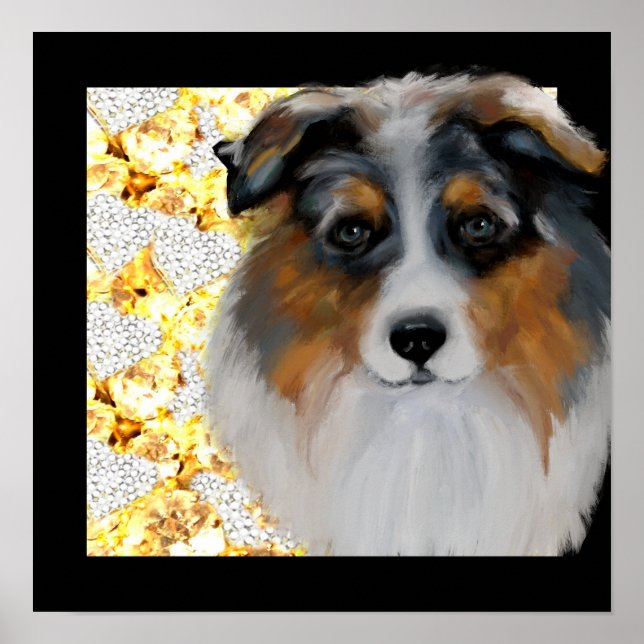 Australian Shepherd   Poster (Front)