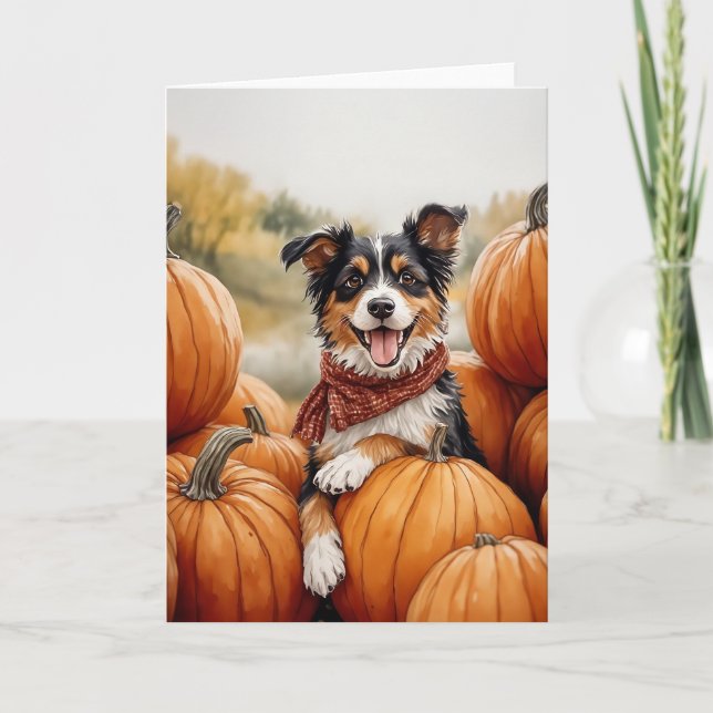 Australian Shepherd Pumpkin Patch Card (Front)
