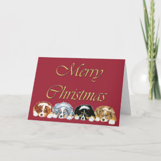 Australian Shepherd Puppies Christmas Card