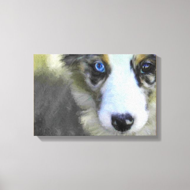 Australian Shepherd Puppy 1 Canvas Print (Front)