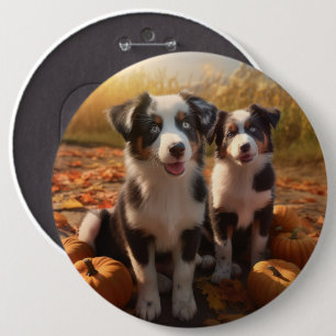 Australian Shepherd Puppy Autumn Delight Pumpkin 6 Cm Round Badge