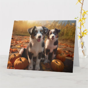 Australian Shepherd Puppy Autumn Delight Pumpkin Card