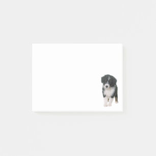 Australian Shepherd Puppy Dog Aussie Post-it Notes