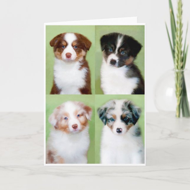Australian Shepherd Puppy Greeting Cards (Front)