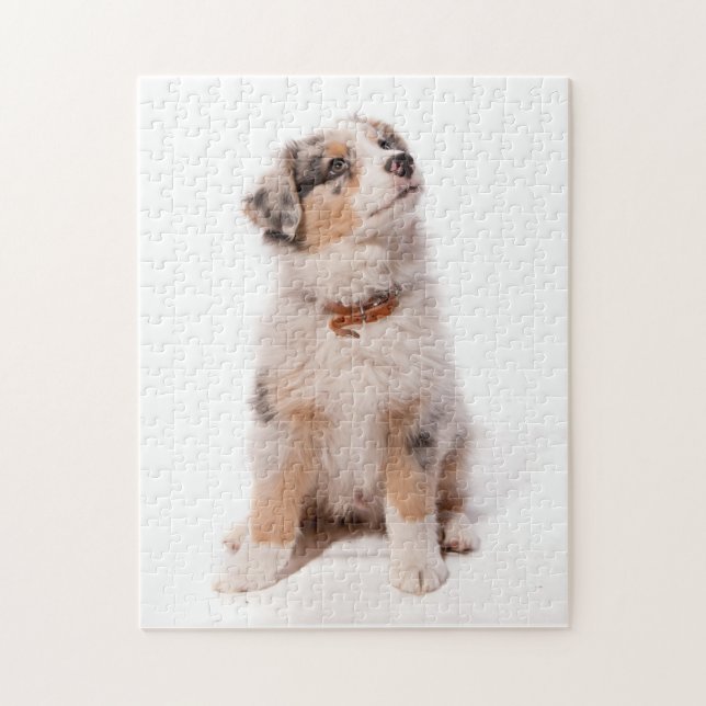 Australian shepherd puppy jigsaw puzzle (Vertical)
