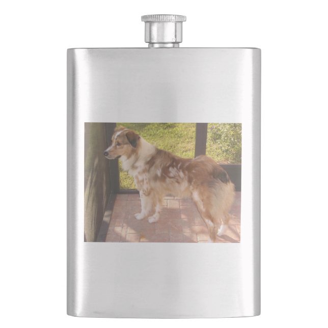 Australian_shepherd red merle full hip flask (Front)
