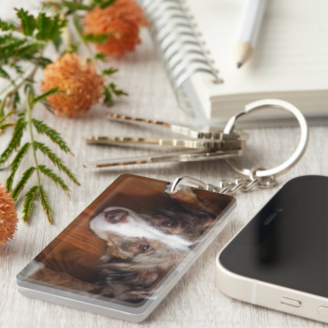 australian shepherd red merle laying flat key ring (Front Right)