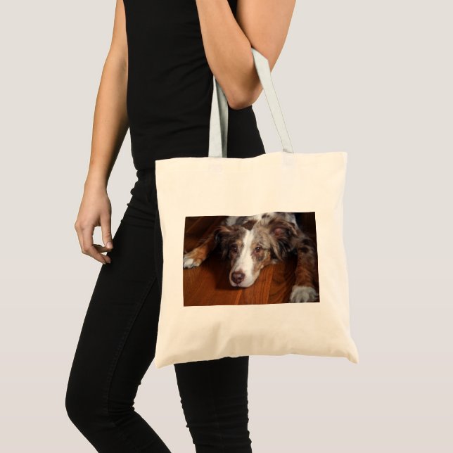 australian shepherd red merle laying flat tote bag (Front (Product))