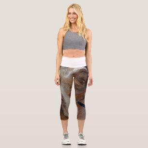 australian shepherd red merle sleeping capri leggings