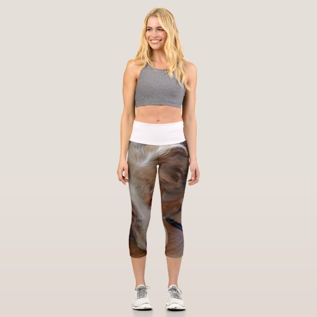 australian shepherd red merle sleeping capri leggings (Front)