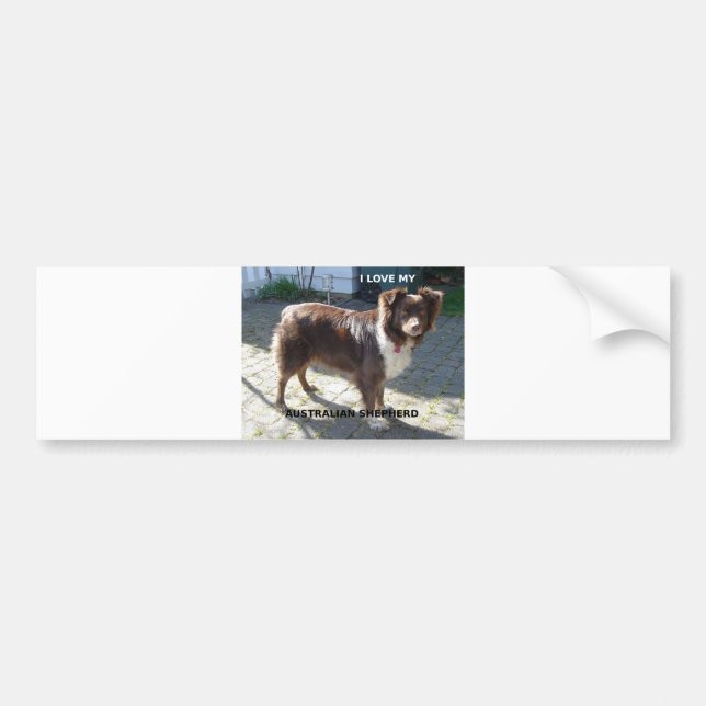 australian shepherd red tri love w pic bumper sticker (Front)