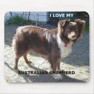 australian shepherd red tri love w pic mouse pad
