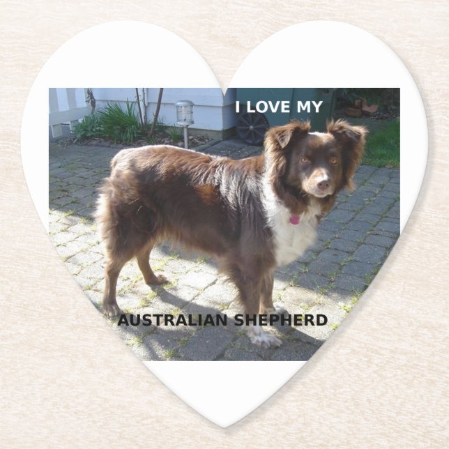 australian shepherd red tri love w pic paper coaster (Front)