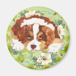 Australian Shepherd Red Tri Puppy ~ Green Leaves Magnet