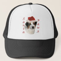 Australian Shepherd Santa Paws