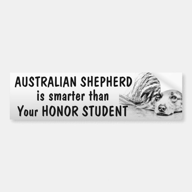 Australian Shepherd - Smarter than student - funny Bumper Sticker (Front)