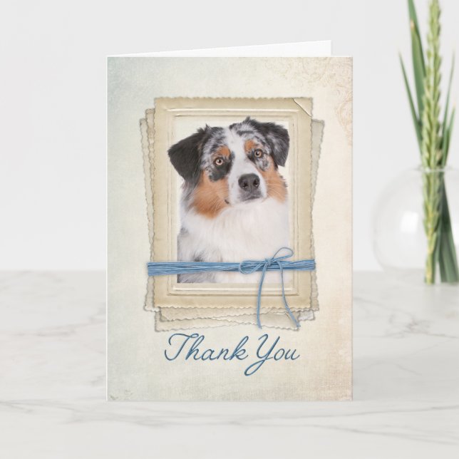 Australian Shepherd Thank You Card (Front)