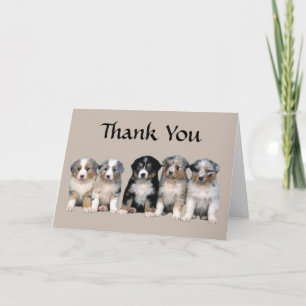 Australian Shepherd Thank You Puppy Card