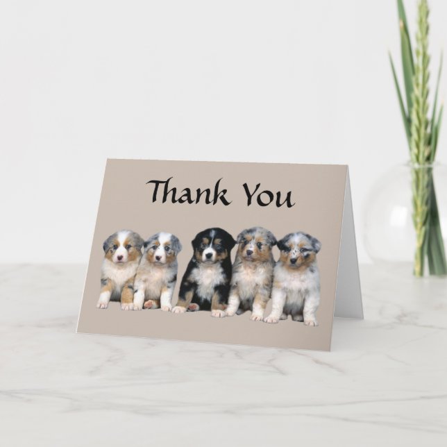 Australian Shepherd Thank You Puppy Card (Front)