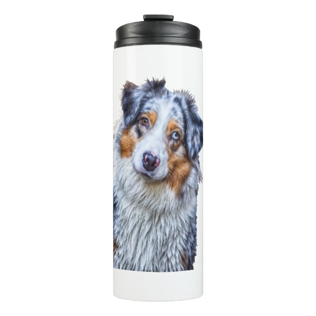 Australian Shepherd  Thermal Tumbler (Front)