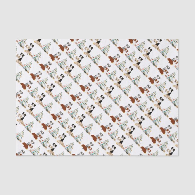 Australian Shepherd Tissue Paper (Front)