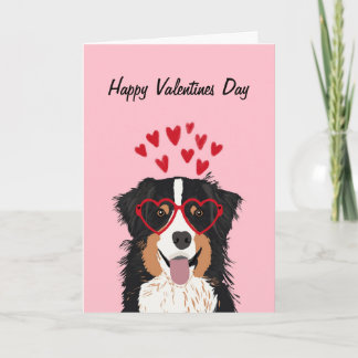 Australian Shepherd - tri coloured valentines love Holiday Card