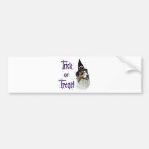 Australian Shepherd Trick Bumper Sticker