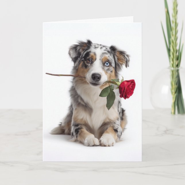 Australian Shepherd Valentine Card (Front)