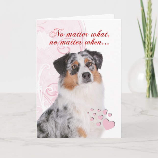 Australian Shepherd Valentine's Day Card (Front)