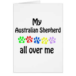 Australian Shepherd  Walks Design
