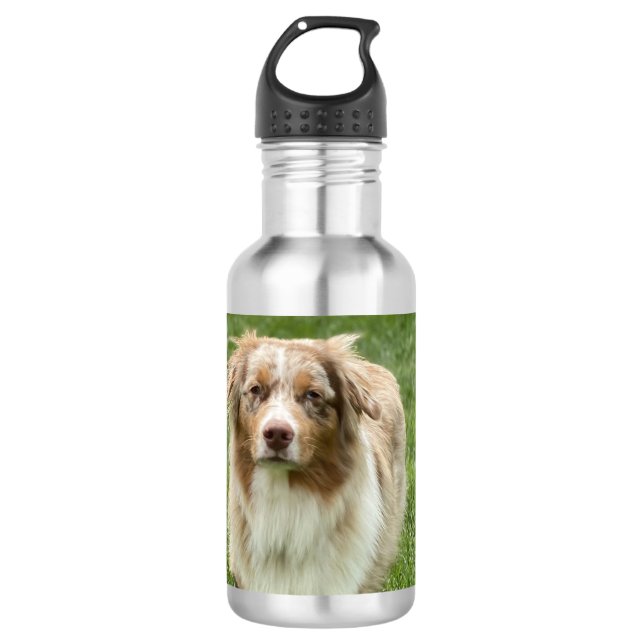 Australian Shepherd Water Bottle (Front)