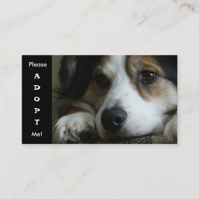 Australian Shepherd Working Dog Shelter Card (Front)