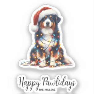 Australian Shepherd Wrapped in Christmas Light
