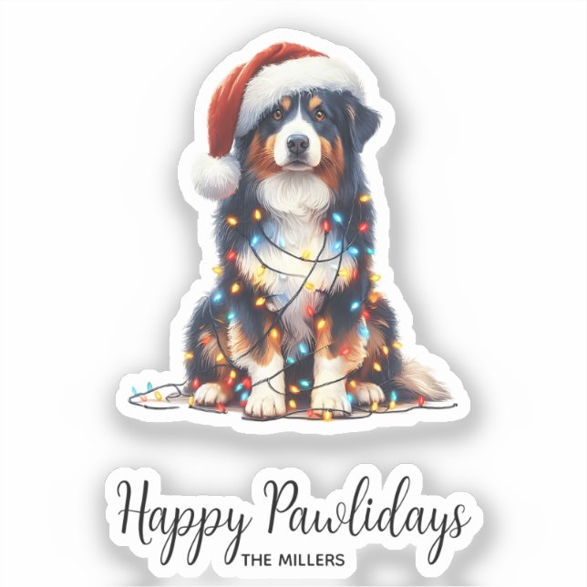 Australian Shepherd Wrapped in Christmas Light (Front)