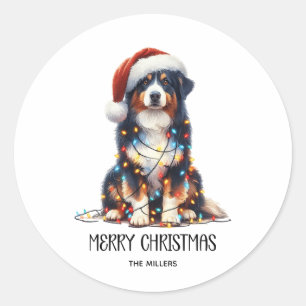 Australian Shepherd Wrapped in Christmas Light Classic Round Sticker