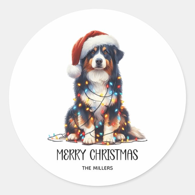 Australian Shepherd Wrapped in Christmas Light Classic Round Sticker (Front)