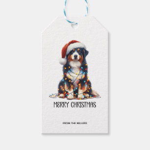 Australian Shepherd Wrapped in Christmas Light Gift Tags