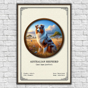 Australian Shepherd Zoology Series Poster