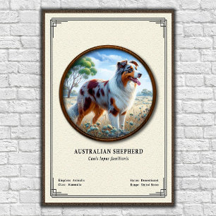 Australian Shepherd Zoology Series Poster