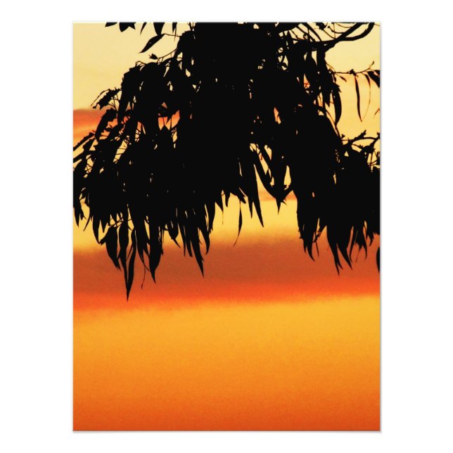 Australian Silhouette Sunset Photo Print (Front)