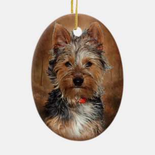 Australian Silky Terrier Ceramic Tree Decoration