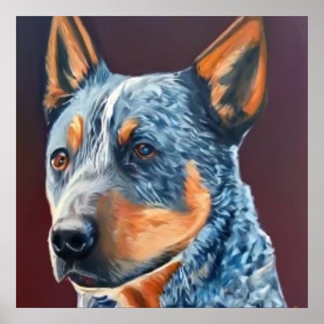 Australian Stumpy Tail Cattle Dog - Dog Portrait Poster (Front)