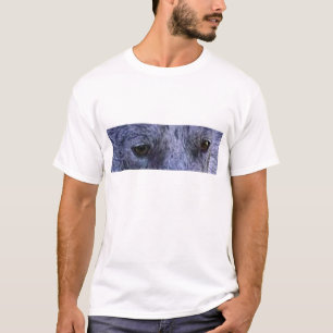 australian stumpy tailed cattle dog blue merle eye T-Shirt