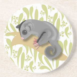 Australian Sugar Glider Coaster