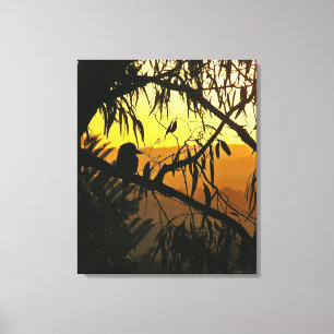 Australian Sunset Kookaburra Silhouette  Wrapped C Canvas Print